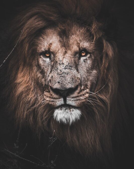Giving Jesus All Authority