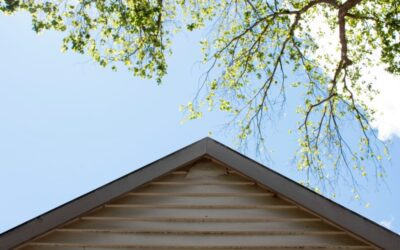 A Glorious Vision for Households